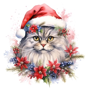 20 Cute Cats Love Christmas Clipart Bundle,Read A Book Clipart, Christmas Sublimation,Christmas Clipart,Christmas Vintage, Digital Christmas