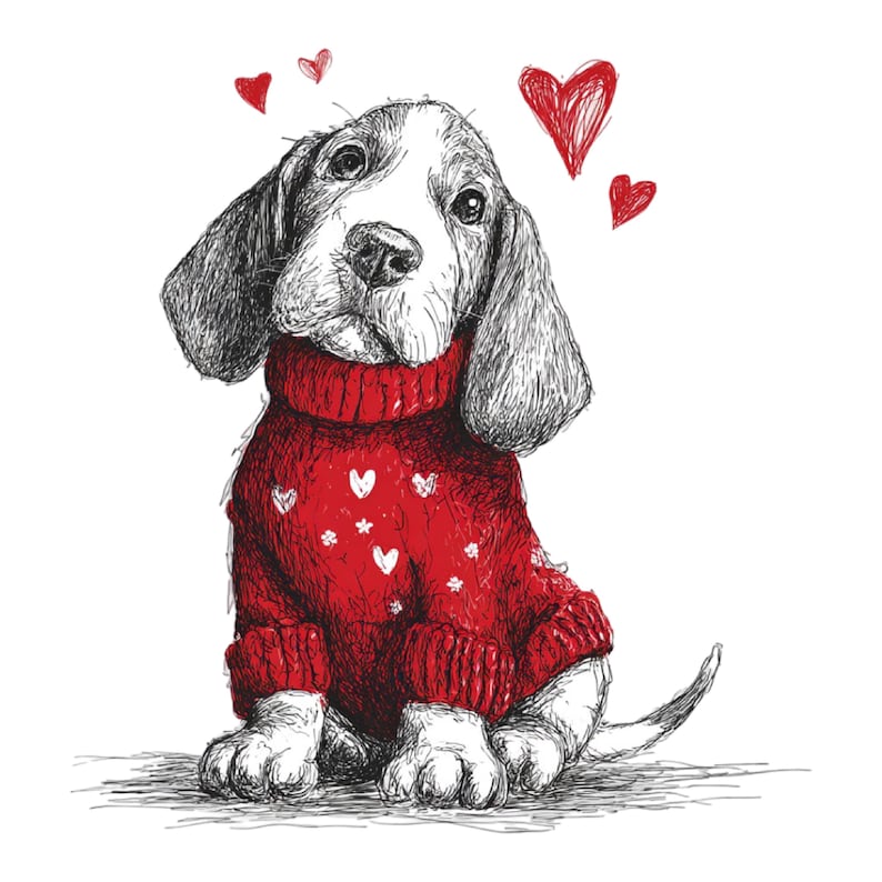 Pu&ograve; includere: Illustrazione in bianco e nero di un cucciolo di basset hound con un maglione rosso con cuori e fiori bianchi. Cuori rossi fluttuano sopra la testa del cucciolo.