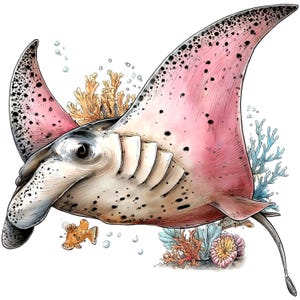 May include: Watercolor illustration of a manta ray with pink wings and black spots. The ray swims near coral and a small orange fish. The artwork has a detailed, hand-drawn style with a white background.