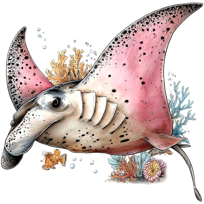 May include: Watercolor illustration of a manta ray with pink wings and black spots. The ray swims near coral and a small orange fish. The artwork has a detailed, hand-drawn style with a white background.