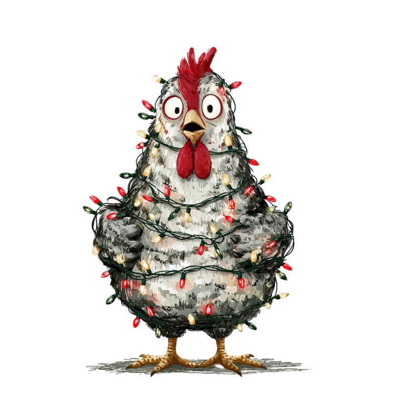 May include: A whimsical illustration of a chicken wrapped in Christmas lights. The chicken has gray and white feathers, a red comb and wattle, and wide, surprised eyes. The lights are red and yellow, creating a festive holiday theme.