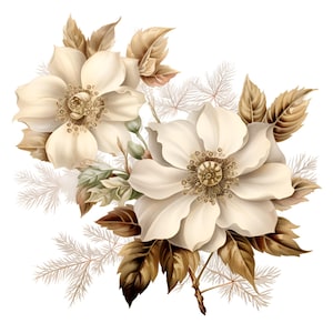 25 Antique Christmas Roses Ornament Clipart,Christmas Clipart, Instant Digital Use,Digital Clipart, Commercial use,High Resolution Images