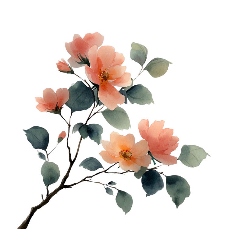 Watercolor Roses Peonies Floral Illustration Set 23 PNG - Etsy