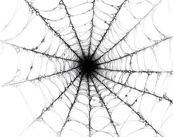 Gothic Spider Web Clipart: Halloween Art, Commercial Use 42 PNG, JPG Bonus Files