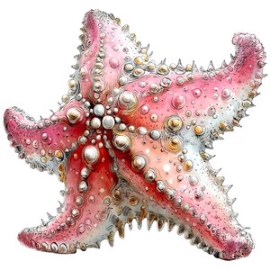 May include: Watercolor illustration of a pink starfish with white, yellow, and pearl-like details. The starfish has a textured surface with small bumps and spines along the edges. The artwork is set against a white background.