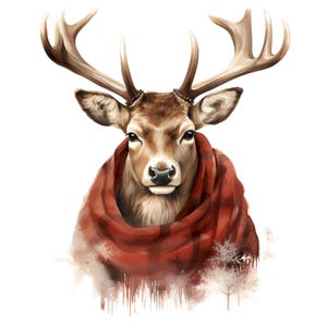 12 Christmas Reindeer Sublimation Bundle,Read A Book Clipart, Christmas Sublimation,Christmas Clipart,Christmas Vintage, Digital Christmas