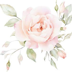 42 PNG Blush Elegance Floral Clipart Png,Watercolor clipart,High Quality PNGs,Digital download,Paper craft, junk journals,Wedding flowers
