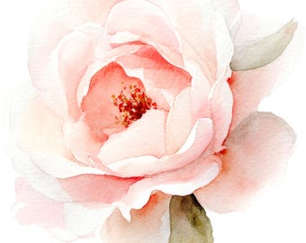 Coquette Blush Garden Floral Clipart: Watercolor Pink Flowers PNG Images (Digital Download) 46 PNG