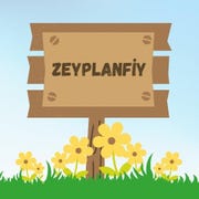 Zeyplanfiy store logo