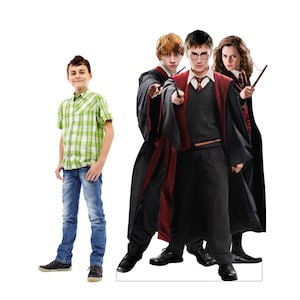 Harry, Ron et Hermione en carton découpé, amis de Poudlard taille réelle pour événements, ensemble de voyageur debout Harry Potter taille réelle, anniversaire sur le thème de Harry Potter