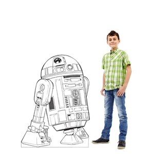 May include: A life-sized cardboard cutout of the R2-D2 droid featuring a black and white line art illustration of the robot's cylindrical body, domed head, and mechanical details, standing next to a person wearing a green plaid shirt and blue jeans.