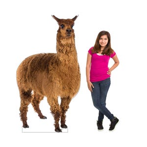 May include: A life-size cutout of a brown llama with a fluffy coat. The llama stands next to a person wearing a pink shirt and blue jeans. The cutout is on a white background.