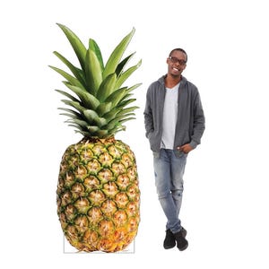 May include: A large pineapple with a green leafy crown and a textured, yellow-brown body. The pineapple is next to a person wearing a gray hoodie, a white t-shirt, blue jeans, and black shoes. The pineapple appears to be approximately 30 inches tall.