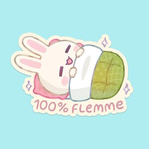 100% flemme sticker