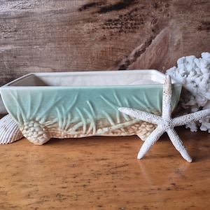 Puede incluir: Una jardinera rectangular de cerámica verde claro con un diseño texturizado de piña y hierba. Una estrella de mar blanca y una concha están junto a la jardinera. El fondo es una superficie de madera.