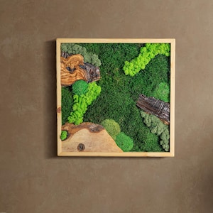 Preserved Moss & Olive Wood Wall Art: Handmade Tree-Inspired Decor (12x12 inches)
