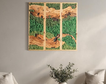 Preserved Moss and Olive Wood Wall Art: Natural Modern Home Decor, Christmas Gift,