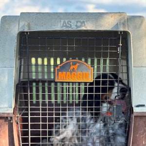 Universal Dog Kennel Name Plates