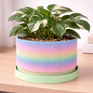 Rainbow Ribbed Planter | Colorful Indoor Plant Pot | Modern Desk Accent | Gift for Plant Lover