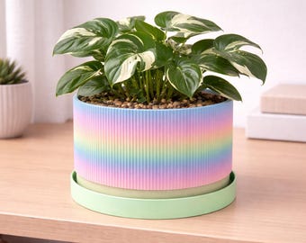 Rainbow Ribbed Planter | Colorful Indoor Plant Pot | Modern Desk Accent | Gift for Plant Lover