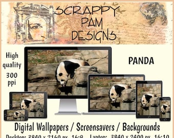 Panda Digital Wallpapers, Screensavers and Backgrounds for Desktops, Laptops, Tablets, iPads and Phones
