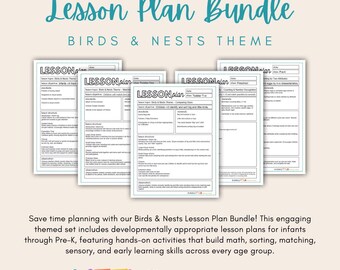Birds & Nests Lesson Plan Bundle | Infant, Toddler, Preschool, Pre-K Theme Activities