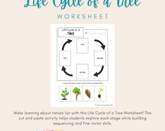 Life Cycle of a Tree Worksheet | Plant Science Printable for Preschool, Pre-K