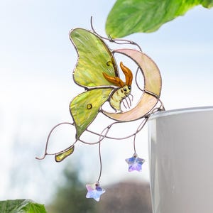 May include: A stained glass suncatcher depicting a green and yellow moth on a crescent moon. Two iridescent stars hang beneath. The artwork is displayed near a white flower pot and a green plant.