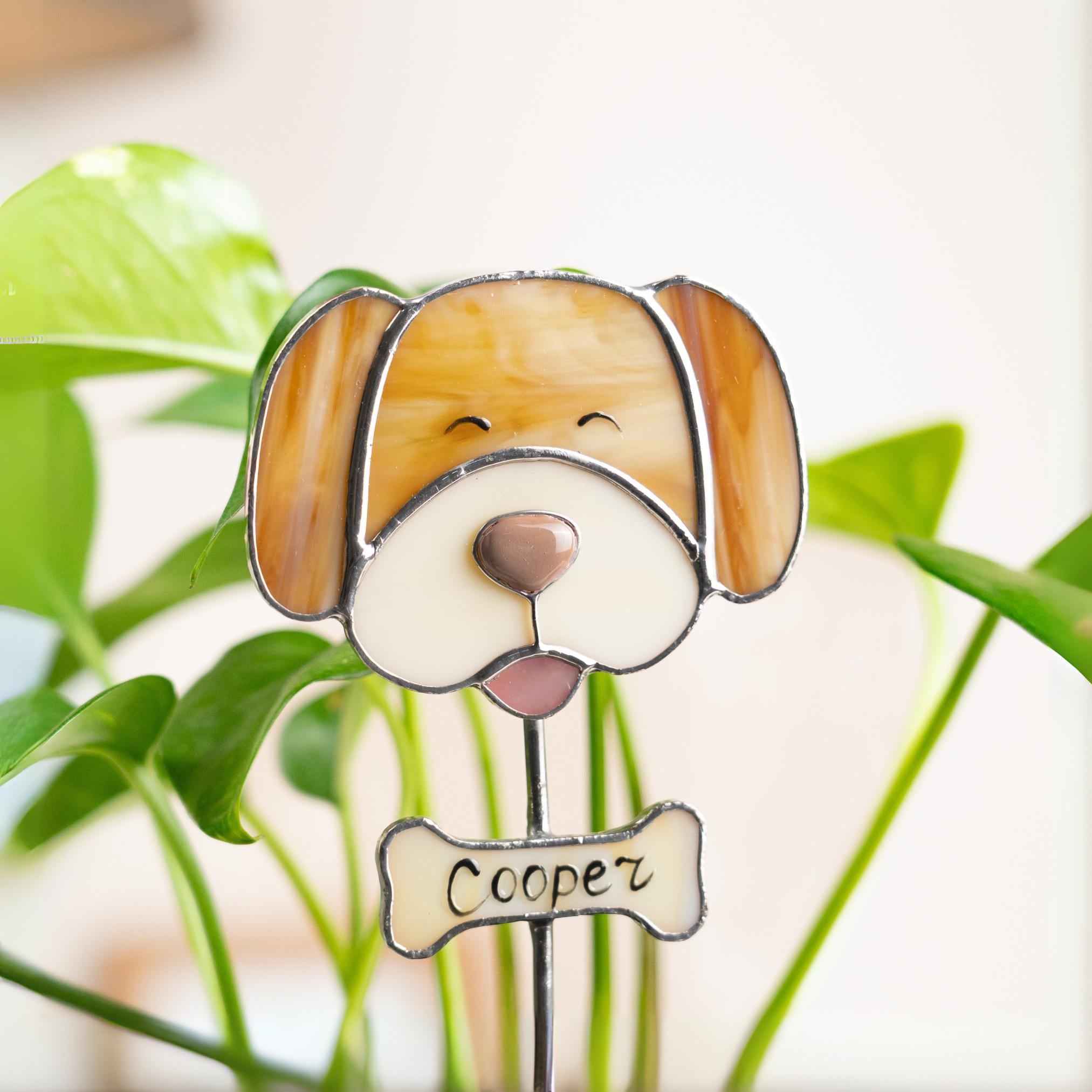 Interface de jeu Stake246 montrant des machines à sous