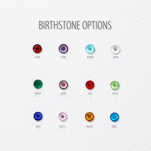 May include: Image displaying a selection of birthstone options. Each birthstone is a small, round gem in a different color, with the month of the year labeled below each stone. The text "BIRTHSTONE OPTIONS" is at the top.