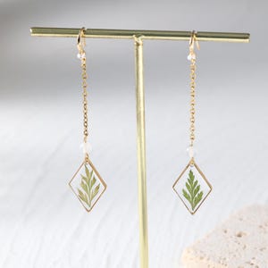 May include: Gold-toned dangle earrings featuring a clear, diamond-shaped resin pendant with a preserved green fern. The earrings have a delicate gold chain and a small white bead accent.
