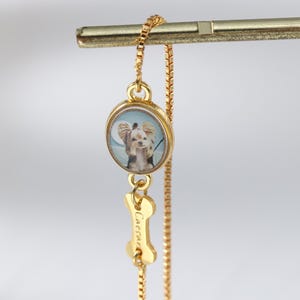 Op de afbeelding: Een goudkleurige ketting met een kleine, ronde hanger met een hondenportret. Onder de hanger een botvormige bedel met de naam "Caesar" gegraveerd. De ketting hangt aan een gouden staaf.