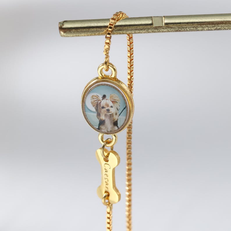Op de afbeelding: Een goudkleurige ketting met een kleine, ronde hanger met een hondenportret. Onder de hanger een botvormige bedel met de naam "Caesar" gegraveerd. De ketting hangt aan een gouden staaf.