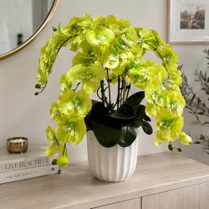 May include: A vibrant lime green artificial orchid plant with numerous cascading blossoms and dark green leaves, potted in a white ceramic container with vertical ridges. The plant features multiple stems and small buds at the tips of the branches.