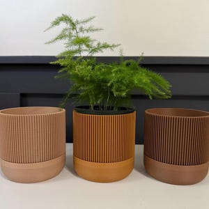 Puede incluir: Tres macetas cilíndricas en tonos beige, naranja y marrón. Las macetas tienen detalles verticales acanalados en la parte superior y una base lisa y redondeada. Una maceta contiene una planta verde con forma de helecho.