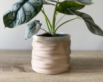 Maceta Wave (10 cm) - Maceta moderna impresa en 3D - Regalo de inauguración de la casa / Regalo para amantes de las plantas