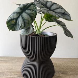 Pillar Plant Pot (5”) - Wide