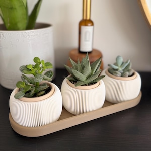 3D Printed Succulent Planter Set – Modern Ribbed Plant Pots with Tray