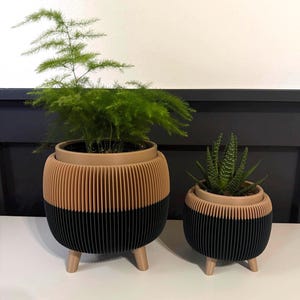 May include: Two decorative plant pots, one large and one small. The pots are two-tone, with a tan upper section and a black lower section. They have a ribbed design and are supported by three small legs. One contains a green fern, the other a succulent.