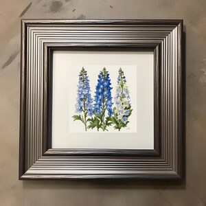 July Birth Flower – Delphinium Illustration