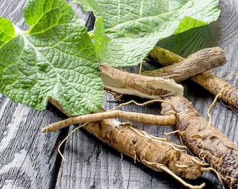 Burdock root organic 500 gr 17.64oz