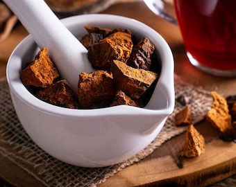 Chaga mushroom 500 g (17.6 oz),natural organic eco product piece