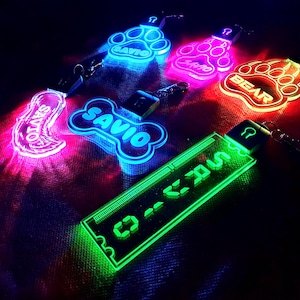 Può includere: Una collezione di targhette identificative luminose per animali domestici in varie forme, tra cui impronte di zampe, un osso e un rettangolo. Le targhette si illuminano in colori vivaci come blu, rosa e verde, con nomi come "SAVIO" e "BEAR". Ogni targhetta ha un portachiavi.
