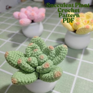 Crochet succulent pattern - mini crochet cactus - Easy Amigurumi DIY Project for Beginners - for Home Decor or as plant lover gift - PDF