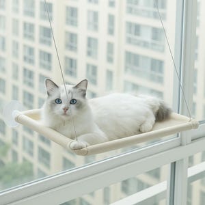Peut inclure: Un chat blanc aux yeux bleus est allongé sur un lit pour chat beige suspendu au plafond d'une fenêtre. Le lit pour chat est fixé à la fenêtre à l'aide de ventouses. La fenêtre donne sur une ville.