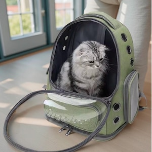 May include: A green cat backpack with a clear front panel and a gray zipper. A gray and white cat sits inside the backpack. The backpack has multiple ventilation holes and a side pocket. The text "Woosise" is visible on the front.