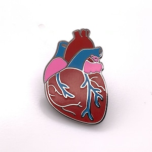 Heart Pin Anatomical pin anatomy medical image 1