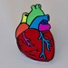 Emma Young reviewed Gay Pride Pin Rainbow Anatomical Heart Enamel Pin LGBTQ Gay Pride Rainbow Pride Hard Enamel Gay enamel pin