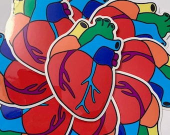 Rainbow Anatomical Heart Sticker