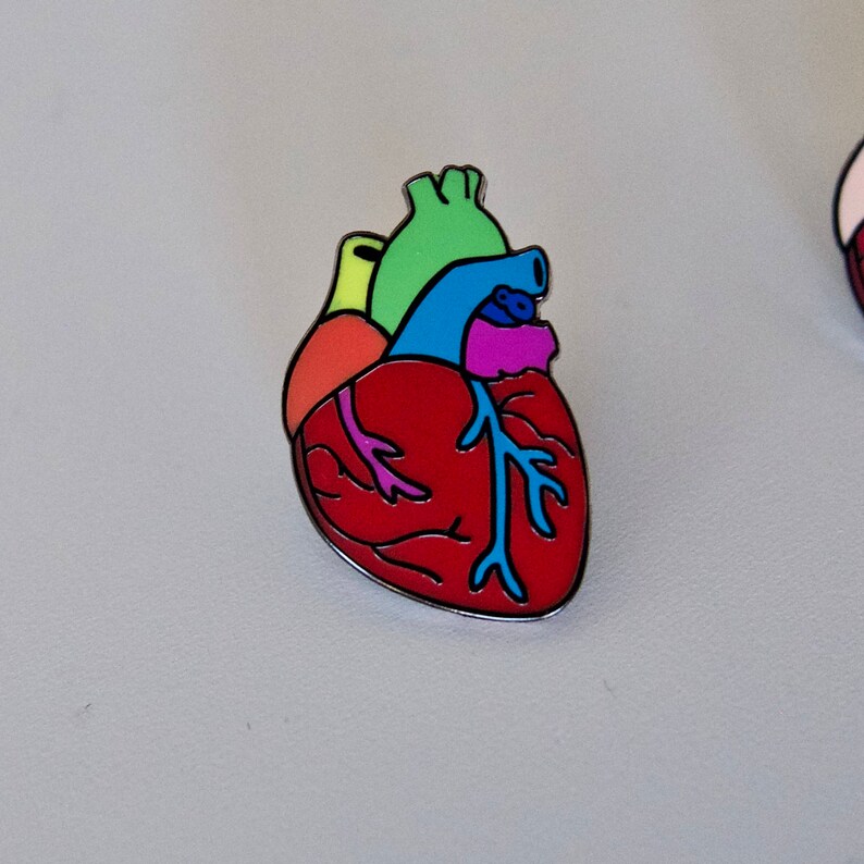 Gay Pride Rainbow Anatomical Heart Enamel Pin image 2